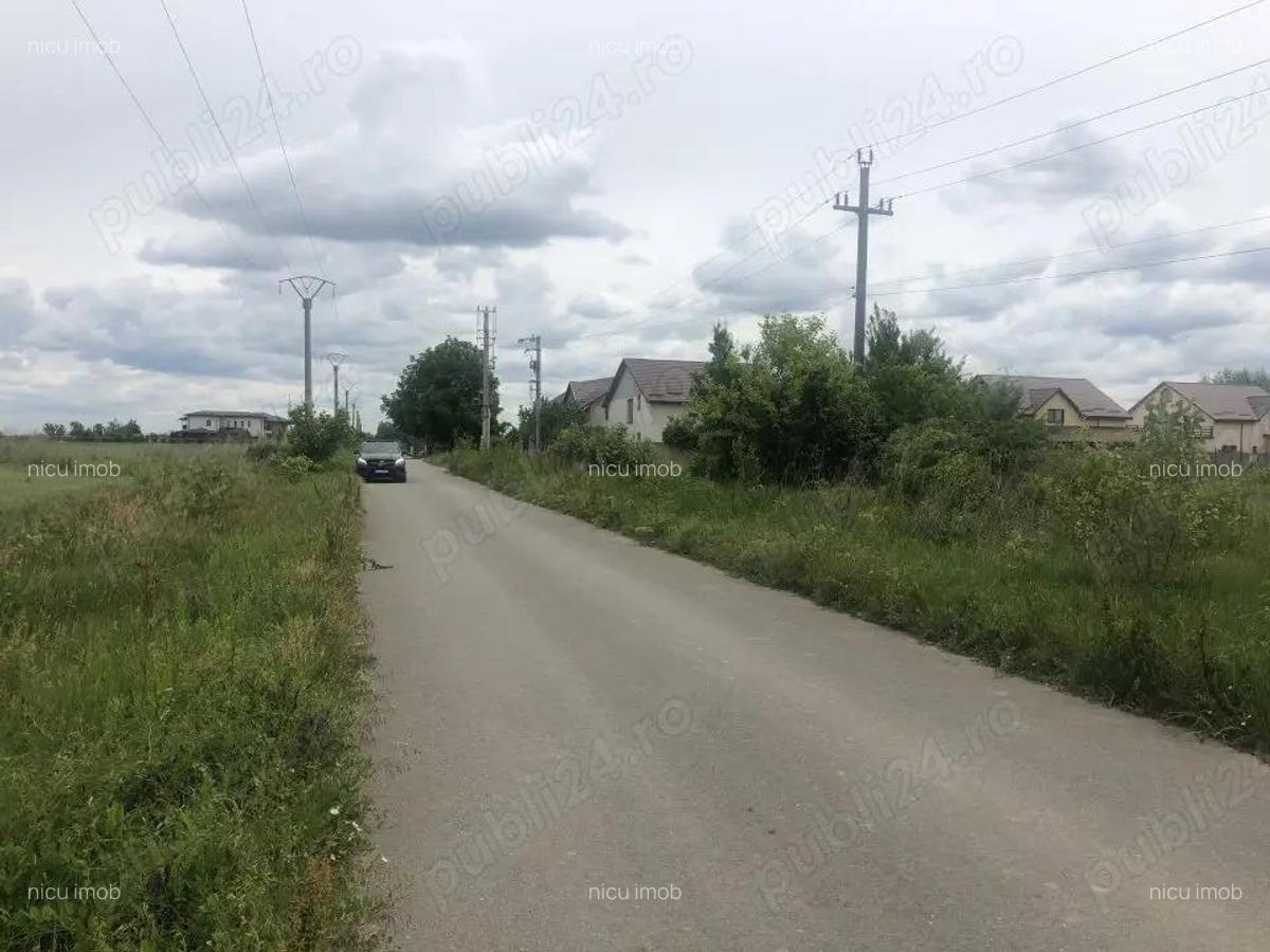 Vanzare Teren Rezidential 3500MP 1 Decembrie Ilfov - 5