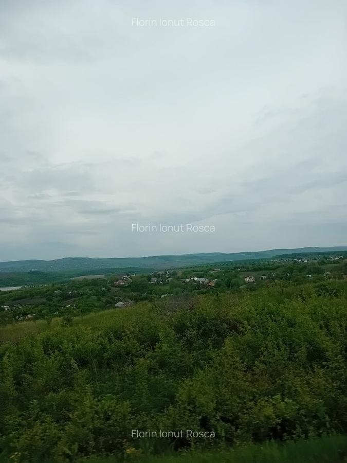 Teren 10300 mp, intravilan, Vladiceni - 1
