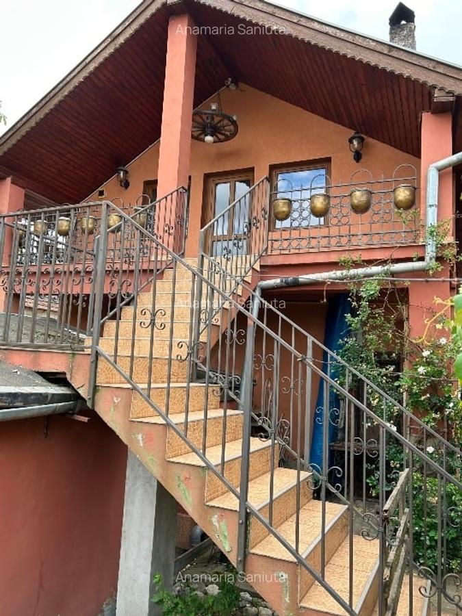 Proprietate specială, 280 mp în Dumbrăvița - 5