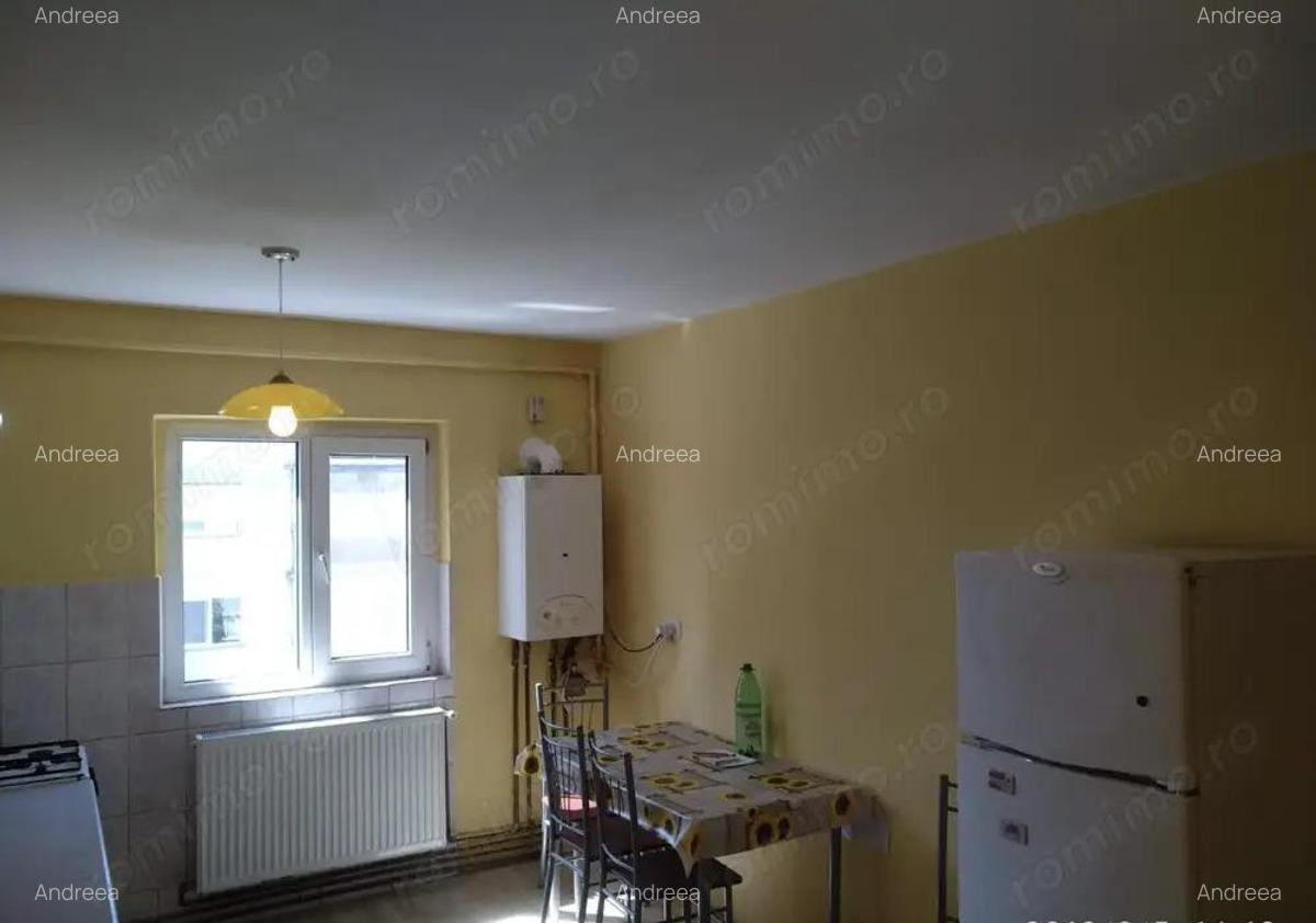 Apartament 2 camere centrala proprie Zona Sagului Ana Ipatescu - 7