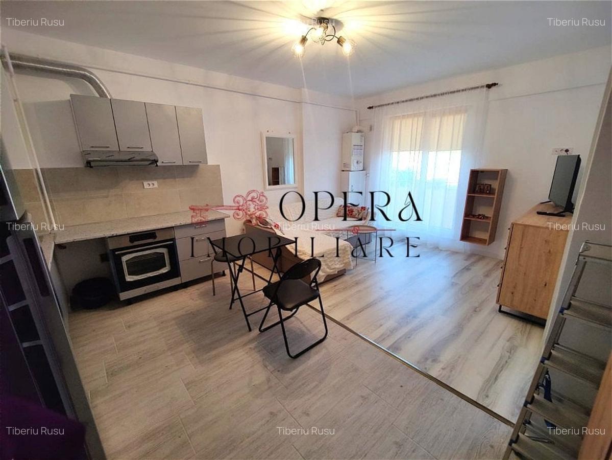 Apartament 2 camere, open space, de inchiriat, zona Podul de Fier -Moara de Vant - 4
