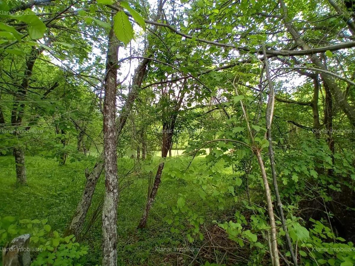 Teren de vanzare in Bradulet Arges - 8