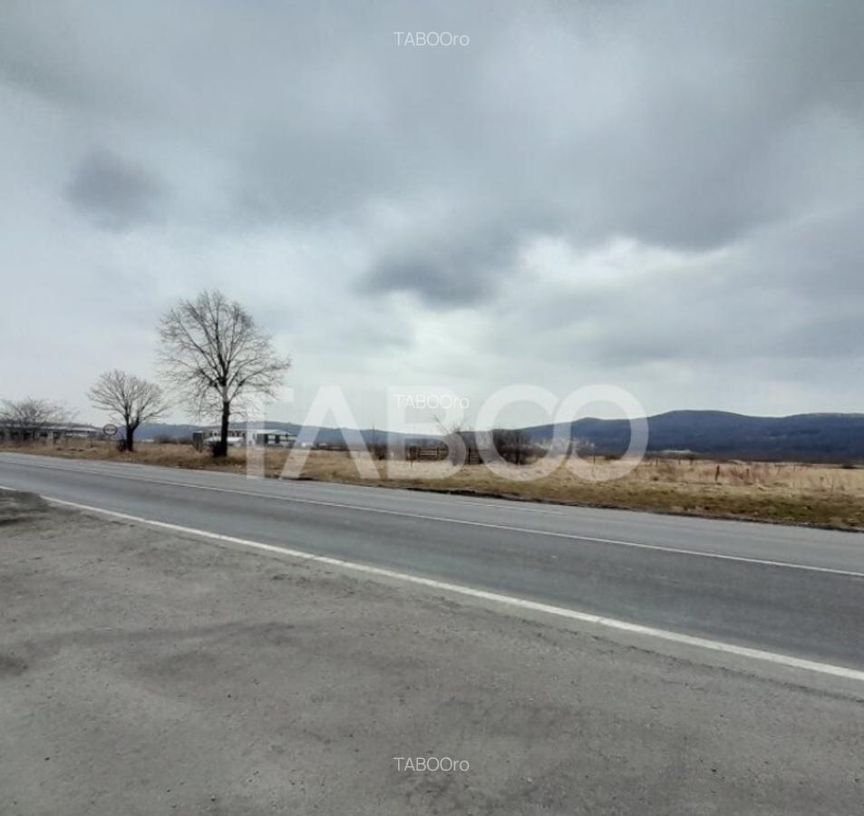 Teren intravilan 15.000 mp Front 47 m DN7 in Talmaciu zona i - 7