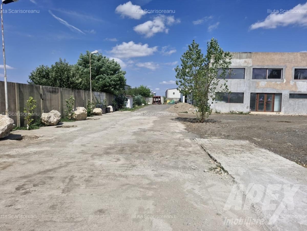 Hala depozitare/productie 300 mp |AccesTir | Teren liber 500 mp | Magurele DNCB - 6