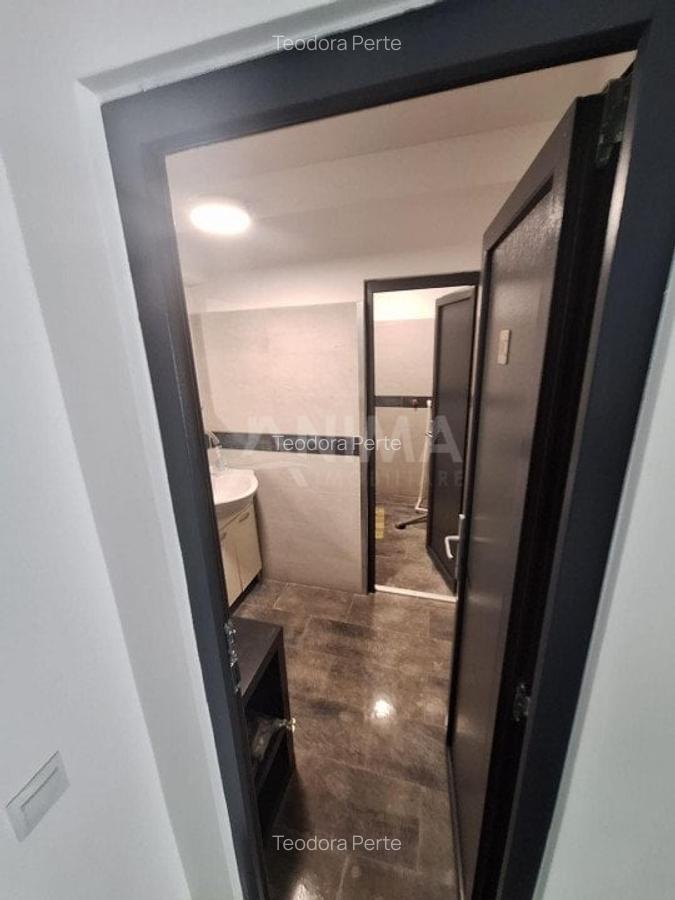 Apartament cu 3 camere decomandat, mobilat în Andrei Mureșanu - 7