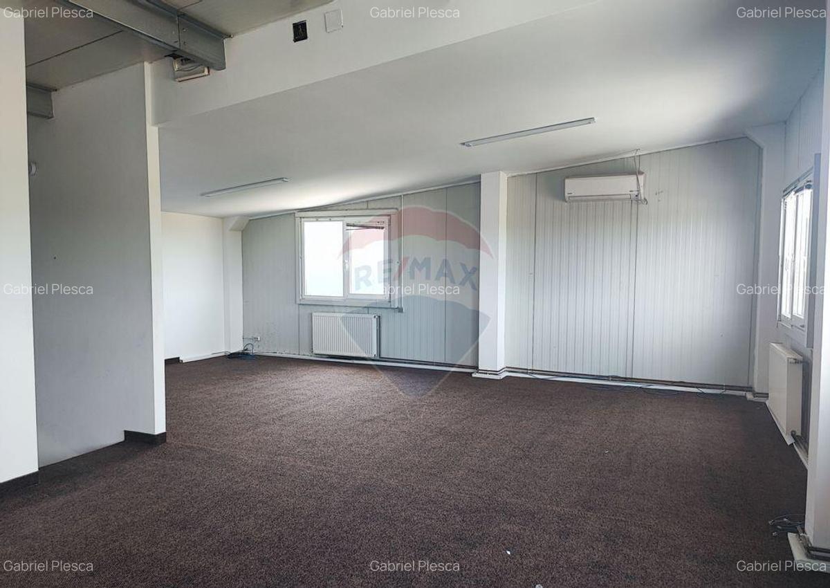 Hala Industriala, Parcul Industrial, Bor?, De Inchiriat - 10