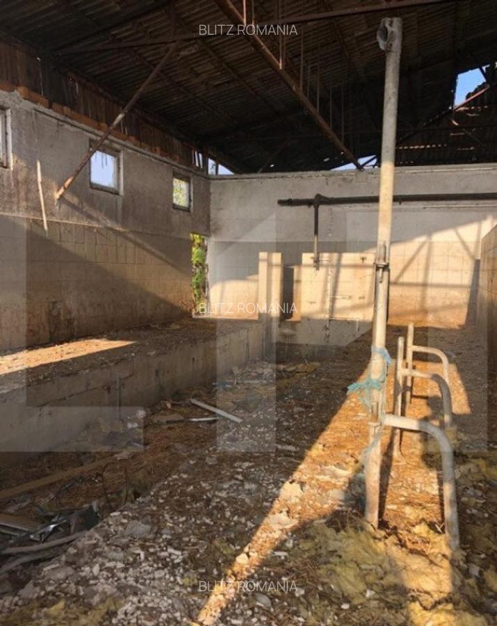 Ferma de vanzare in jud. Covasna, suprafata teren 4824 mp - 3 Ferma de vanzare in jud. Covasna, suprafata teren 4824 mp - 3