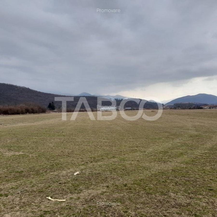 Teren intravilan 11.400 mp deschidere 45 ml in Talmaciu zona de case - 6