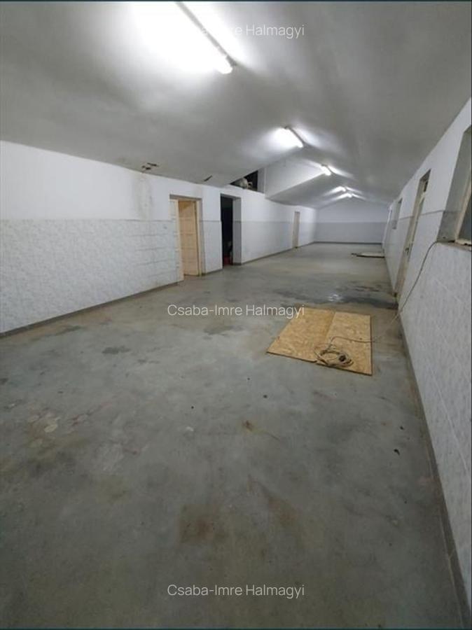 Hala de 800 mp cu teren de 1600 mp in Ineu de Cris Bihor. - 2