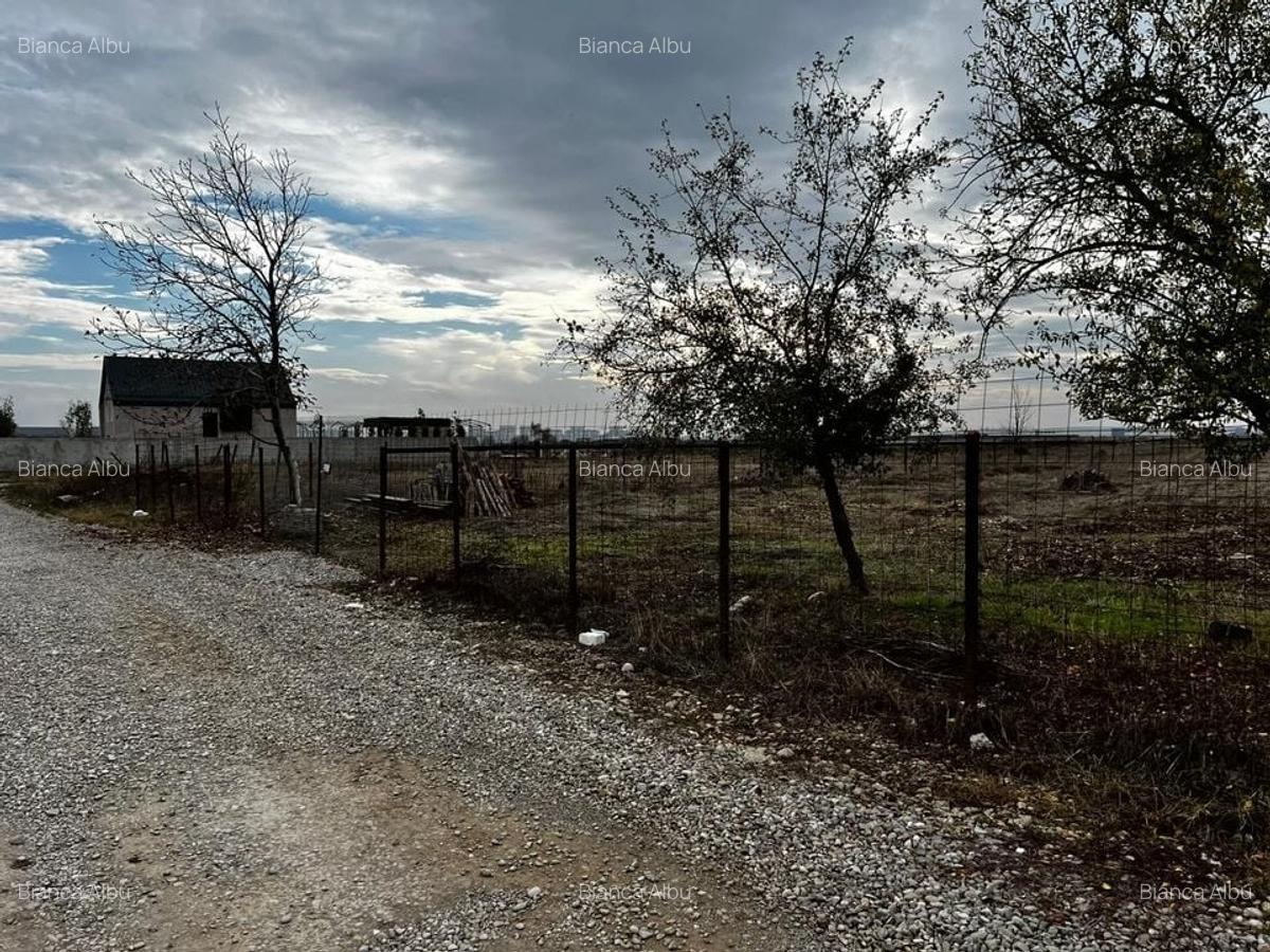 Teren intravilan 750 mp Tunari Stejarului - 2