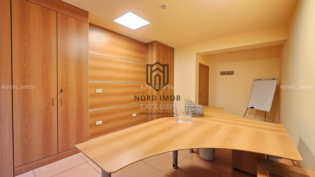 OPORTUNITATE! Spatiu de birouri 6 camere | 266 mp | 5 Bai | 2 terase | Herastrau - 14