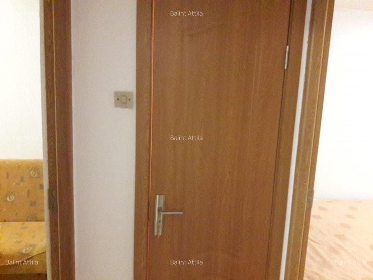 Sagului- Piata Doina 3 camere 400 euro - 5