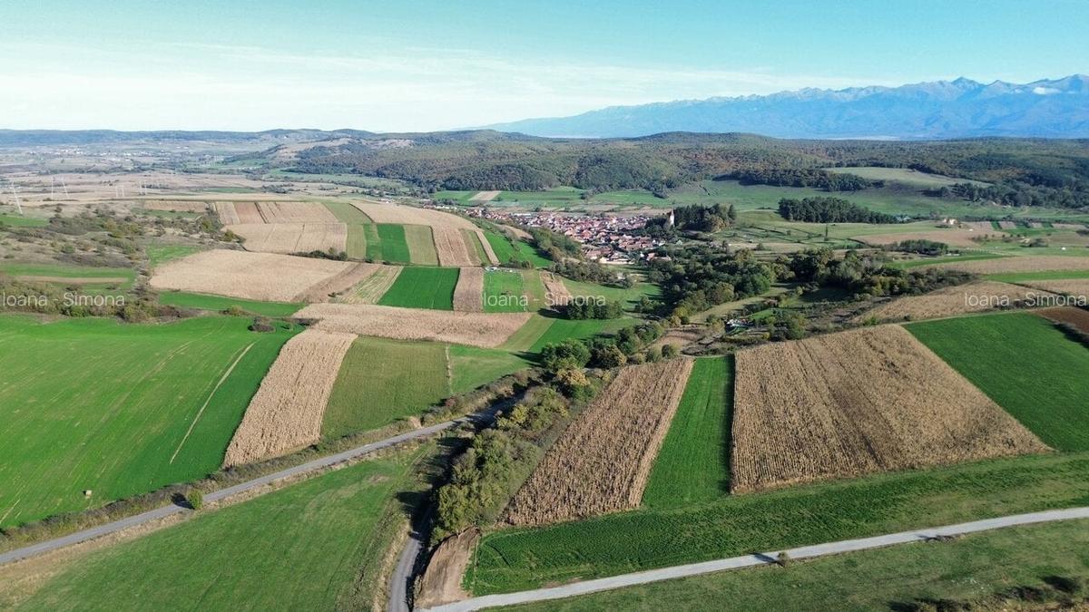 Parcele teren pentru cabane Sibiu -Dealul Daii -Casolt,  direct de la proprietar - 11