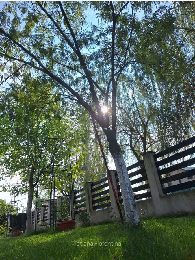 Casa-Simnicu de Sus, Dolj - 2 Casa-Simnicu de Sus, Dolj - 2