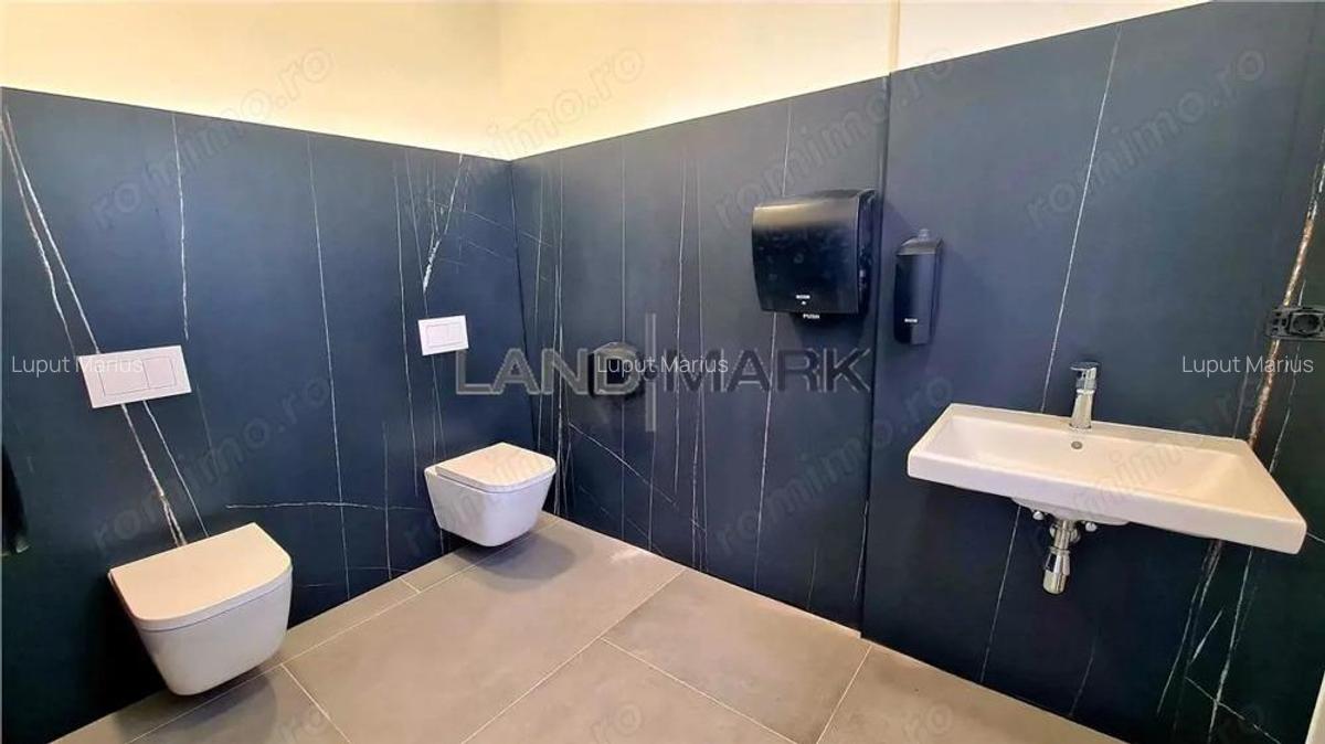 Hala noua de inchiriat , zona Lugojului - Aeroport Tmisoara - 2