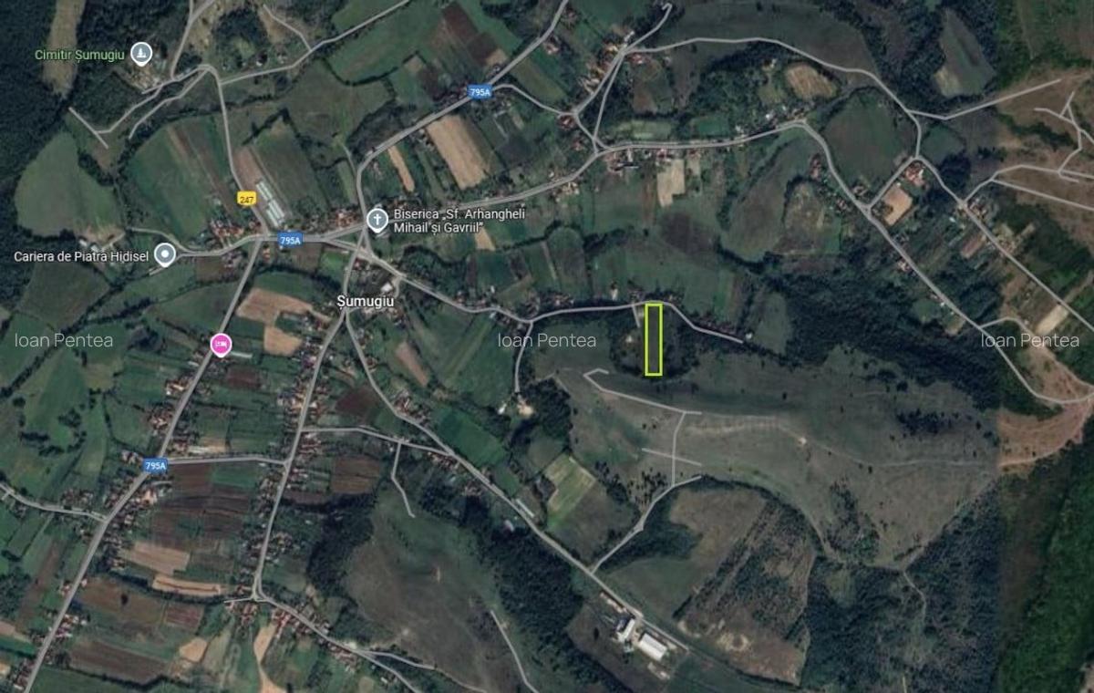Teren Construcții intravilan de 5995 mp, în Șumugiu - 1