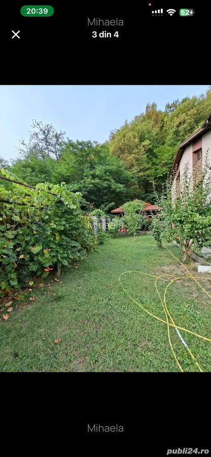 Vand Casa in Pausa Calimanesti - 3