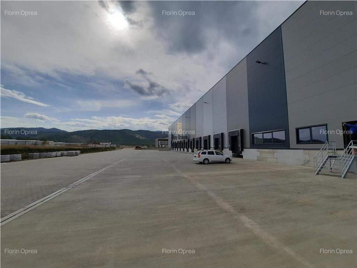Spatiu Industrial - 2300 mp - Logistica - Productie - Depozitare - Distributie - 12