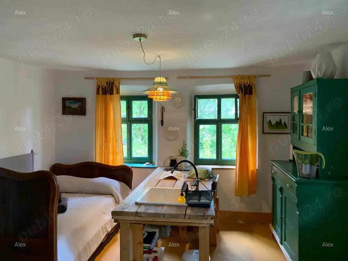 Investi?ie in natura > 2 case restaurate cu poten?ial de inchiriere si teren de 20.000 mp - 1