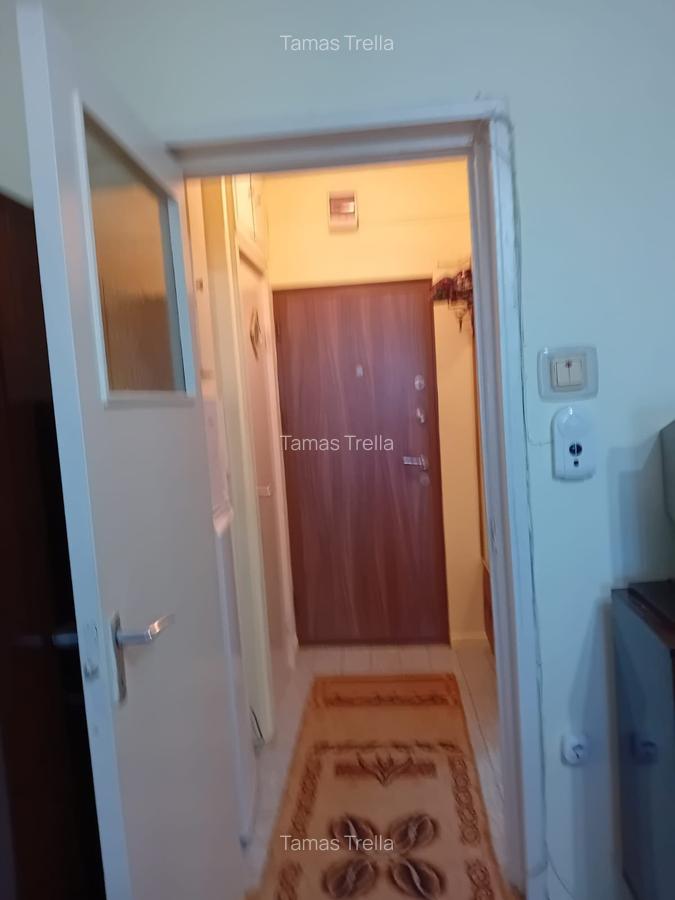 Vand garsoniera  cf. 1, etaj 2/9,  zona  Aleea Carpati - 4