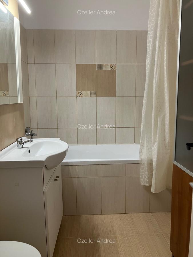 Inchiriere 2 camere,Victoriei-Banu Manta,2/10, decomandat,renovat,mobilat,600€ - 10