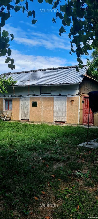 Teren cu casa in Cobia - 2