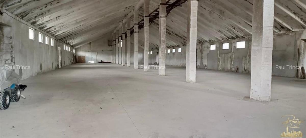 Complex Industrial cu rampa feroviara de inchiriat in Birtin - Bihor - 3