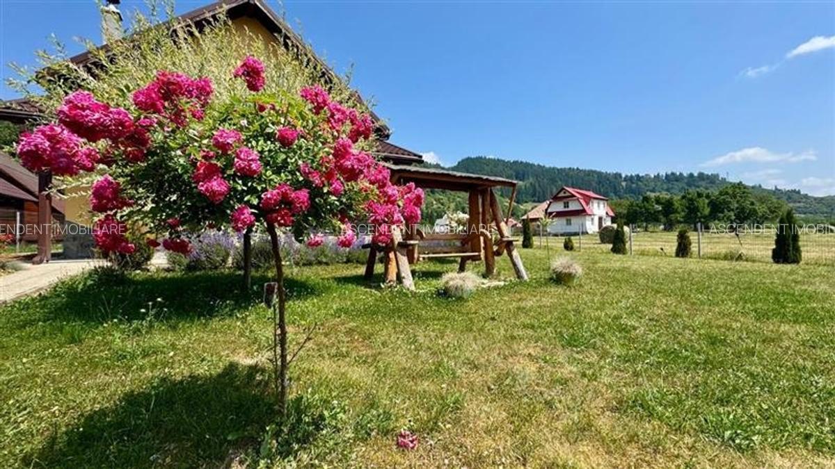 Refugiu pretios:  jacuzzi, lemn masiv, 2.000 mp teren,4 dormitoare, cuptor,inves - 12