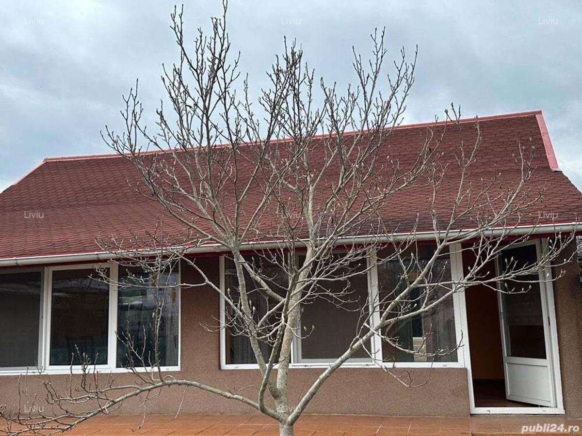 Casa de vanzare, Caransebes, strada principala - 150000 Euro!!!! - 9