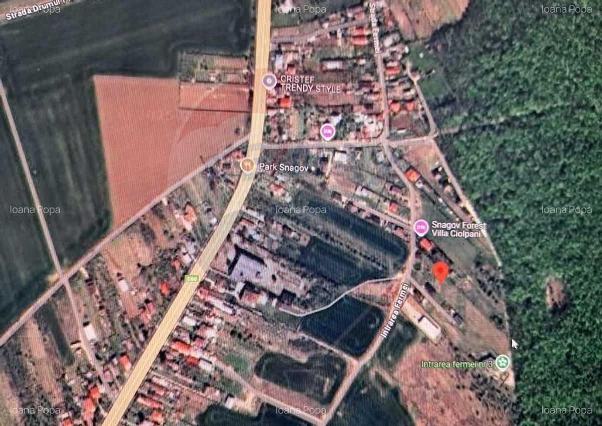 Lot teren 450 mp langa padure Ciolpani Fermei - 5