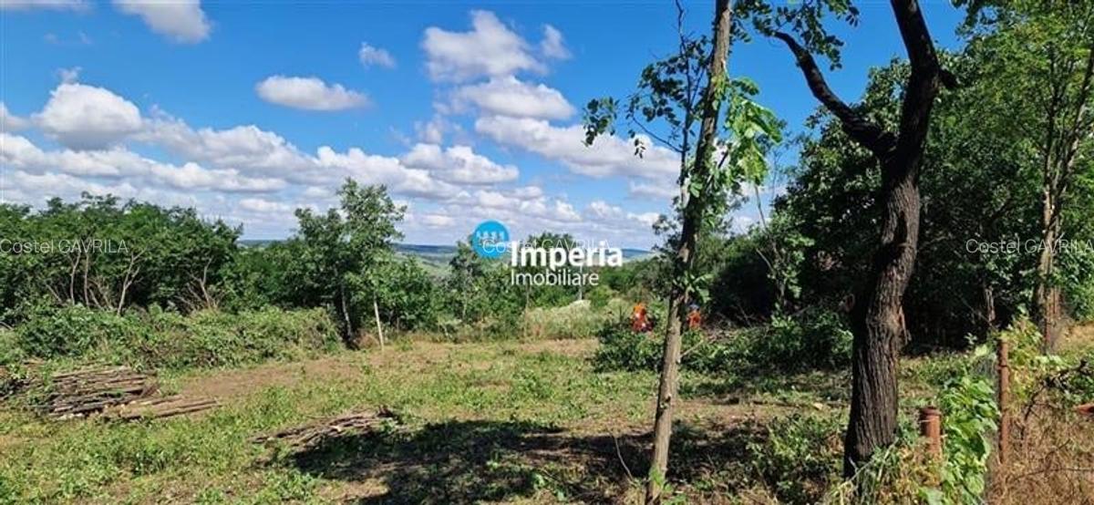 Teren Construcții intravilan de 1000 mp, în Aroneanu - 2
