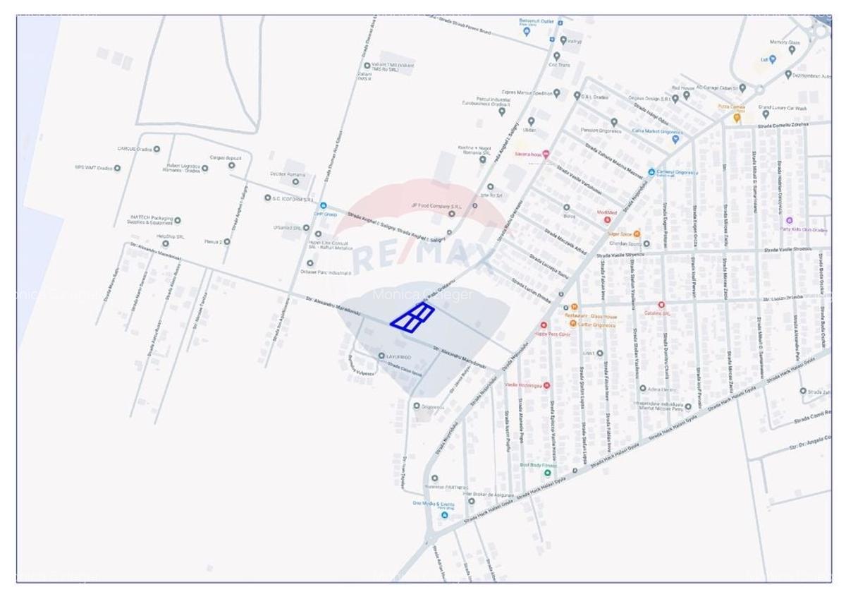 Teren cu destinatie comercial, servicii, de vanzare, Grigorescu - 3
