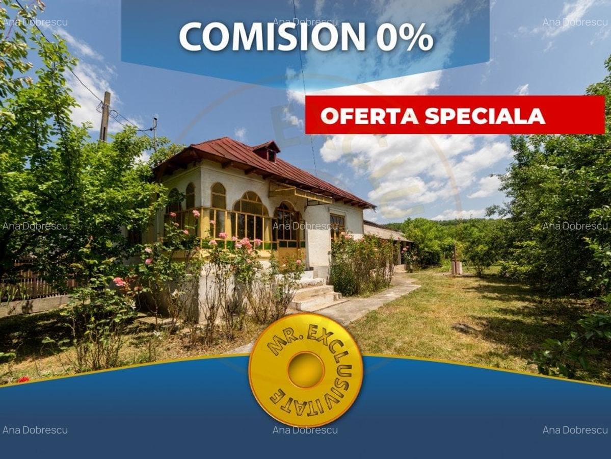 Casa batraneasca - Glambocelu, com. Bogati, Arges! - 1