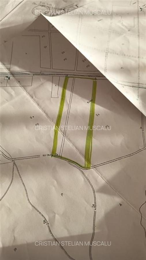 Padure de vanzare zona Comuna Draganesti sat Hatcarau - 8