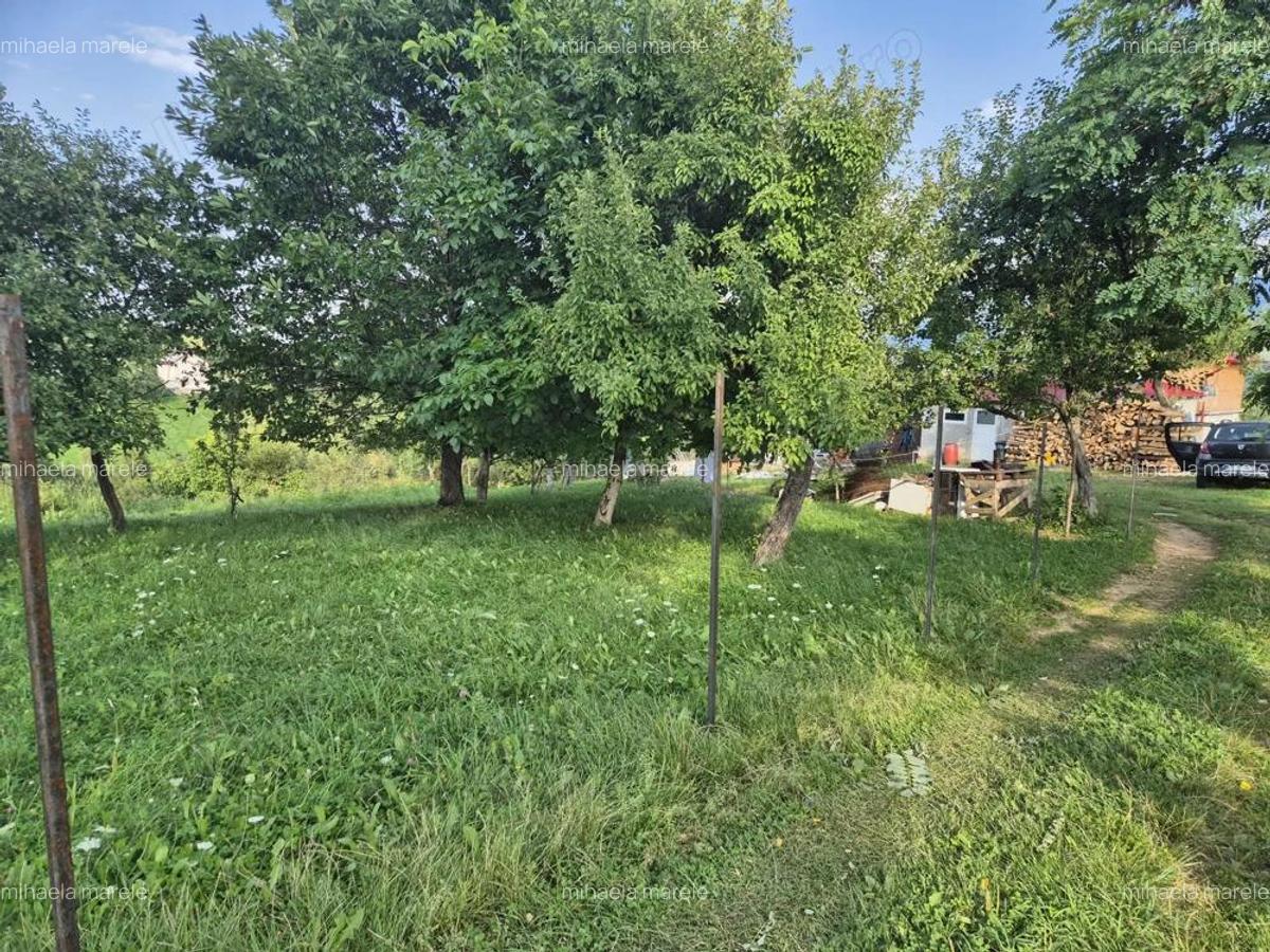 Intravilan Pestera, jud Brasov, comision 0% - 1