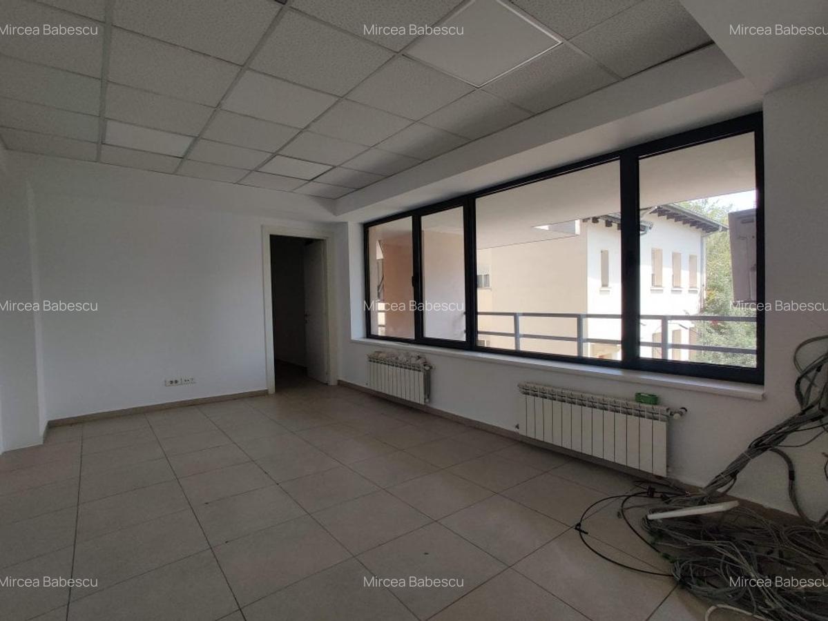 Spatiu de retail cu multiple functiuni in zona Titulescu - Banu Manta - 11 Spatiu de retail cu multiple functiuni in zona Titulescu - Banu Manta - 11