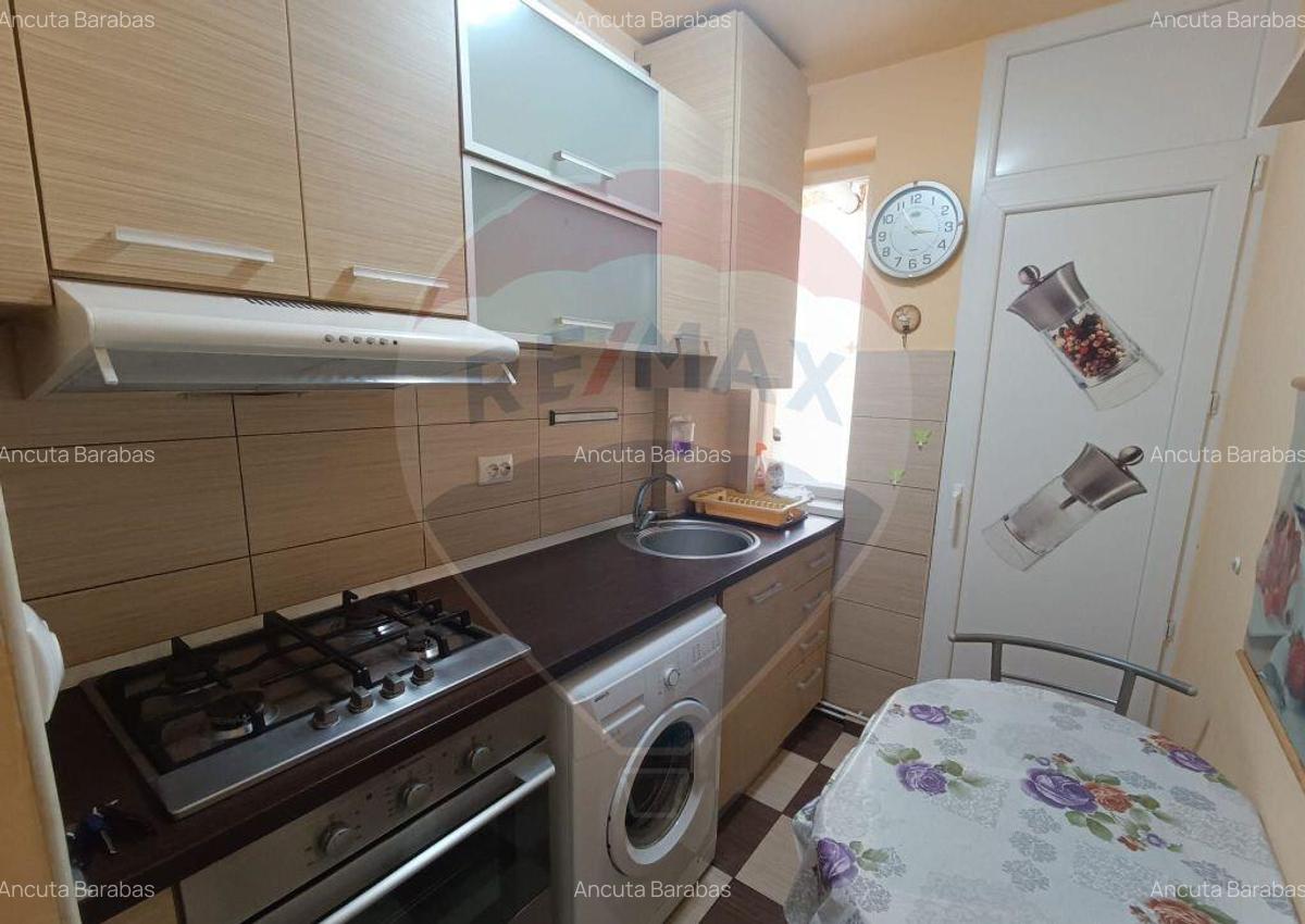 Apartament Pet friendly cu 3 camere de inchiriat - 7