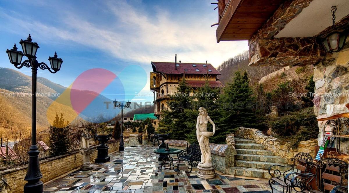 Complex  Printesa din Carpati  - Oportunitate de Investitie Unica pe Valea Aries - 6