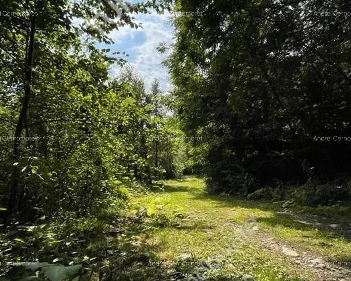 Teren intravilan in Avrig zona turistica Valea Avrigului 2000 mp - 4
