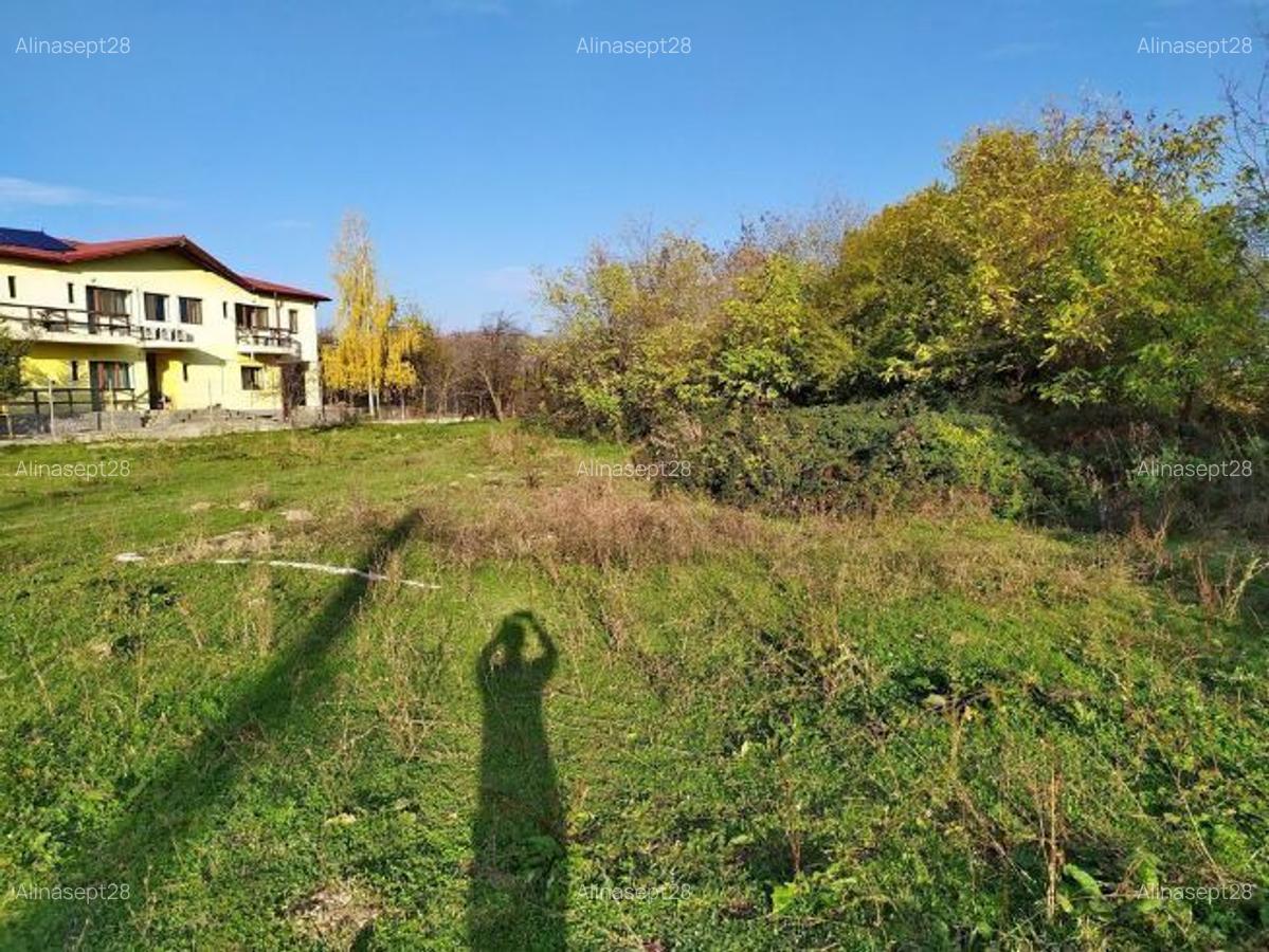 Proprietar Teren intravilan (PRET NEGOCIABIL) DE VÂNZARE Poiana Campina (jud Prahova), sat Bobolia - 2