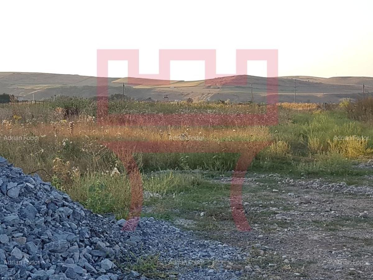 Vanzare teren pentru hala in zona strazii Valea Chintaului PUZ aprobat - 5
