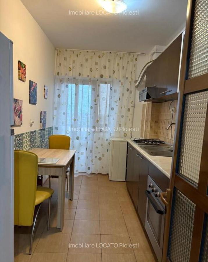 Apartament 2 camere decomandat Bld Republicii parc Mihai Viteazu - 3