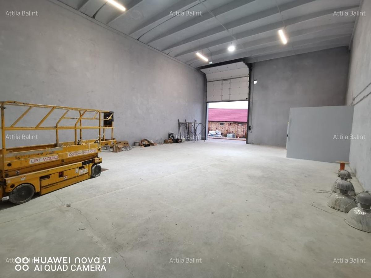 Inchiriez hala 209 mp in Giarmata Mare 5.5 euro/mp + TVA - 3