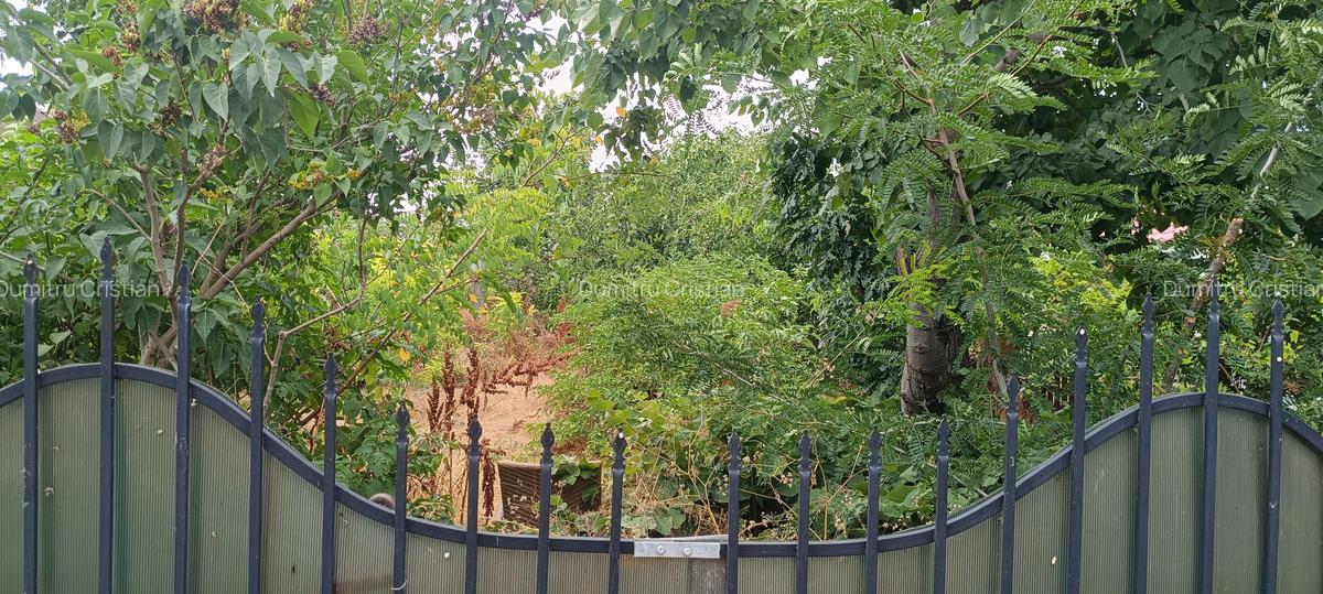 Lumina, teren intravilan, poziționat între case - 4 Lumina, teren intravilan, poziționat între case - 4