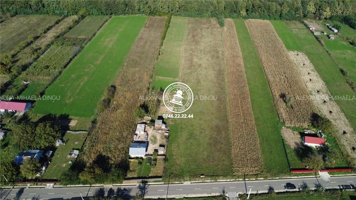 Teren pentru constructii case de vanzare Iasi, Poiana cu Cetate - 2