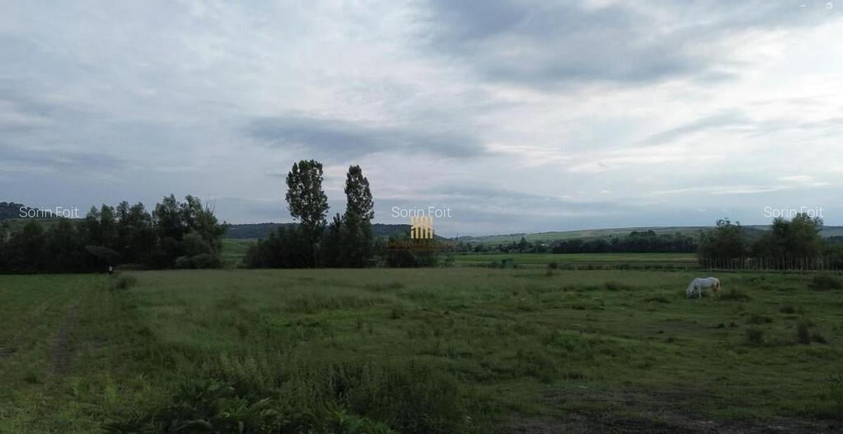 Teren 3953 mp Falticeni Tarna Mare De 0727817187 - 10