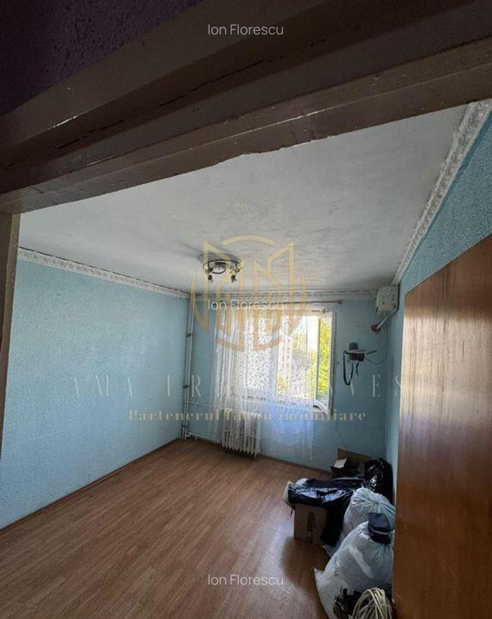 3 camere Anton Bacalbasa cu tulnici - 10