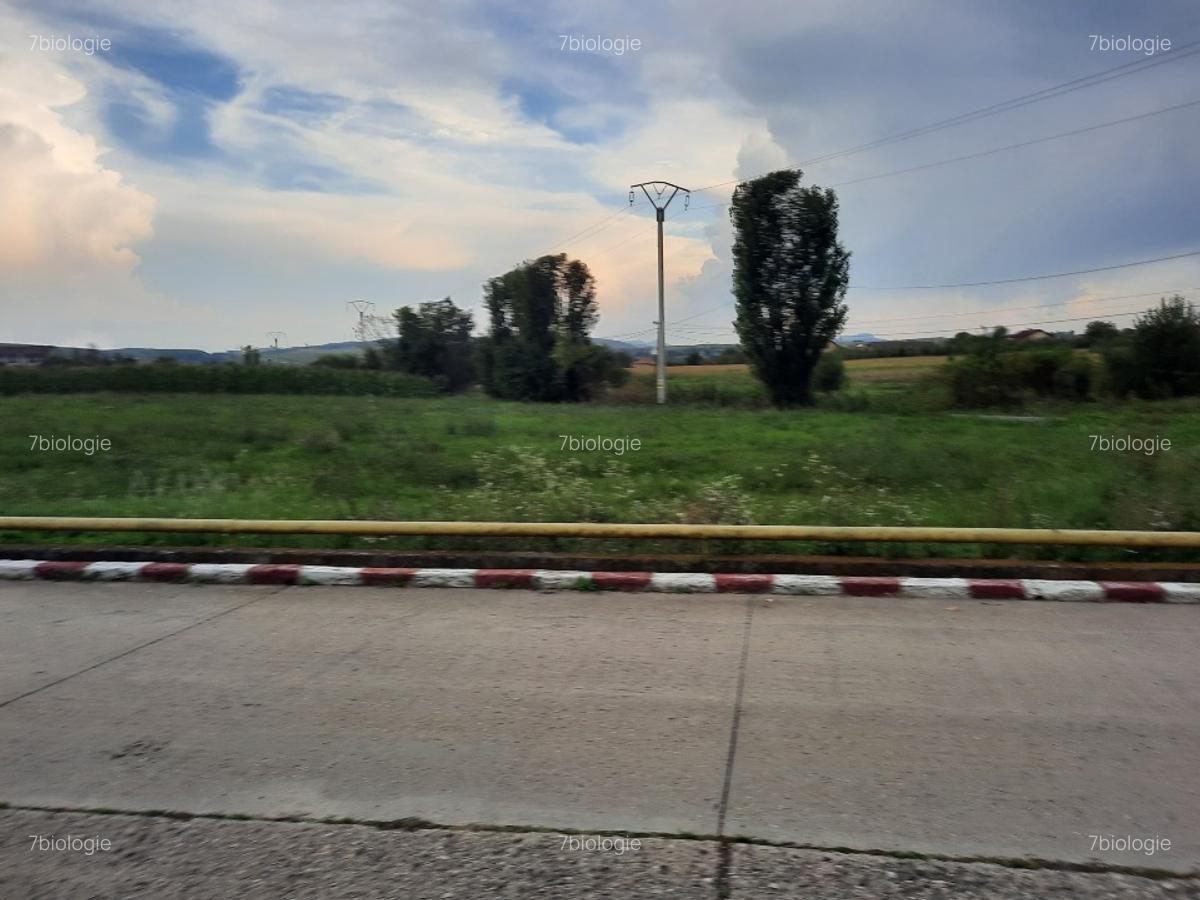 Teren, 5800 mp, intravilan in Comuna Tureni, Jud Cluj - 6