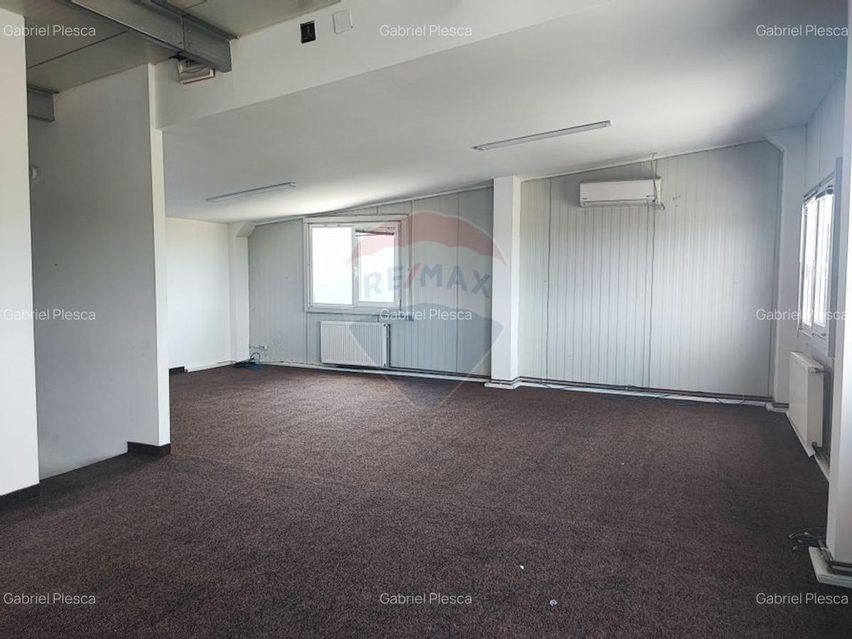 Hala Industriala, Parcul Industrial, Bors, De Inchiriat - 10