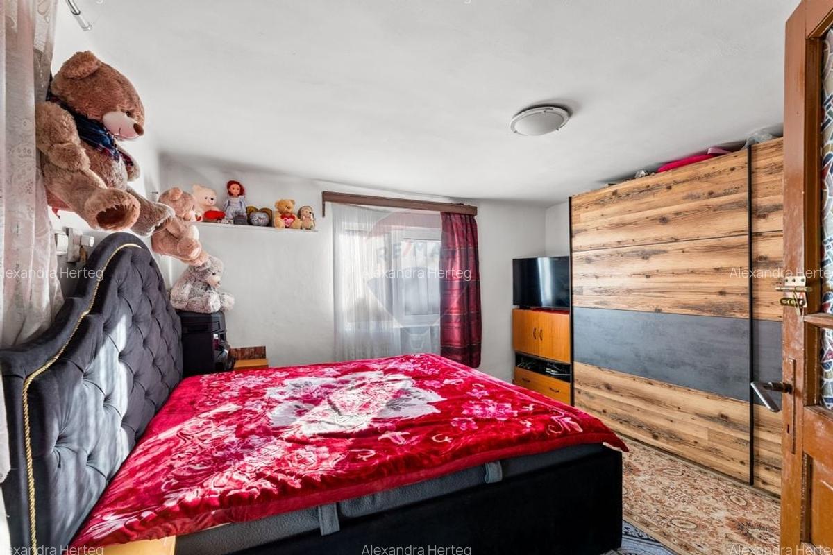 Casa cu 5 camere in Barzava - 3